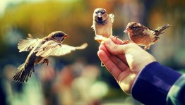 Викторина «Дорогою добра»