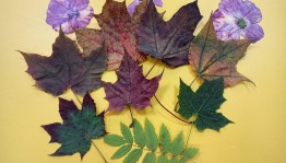 Мастер-класс по изготовлению панно «Осенняя рапсодия»