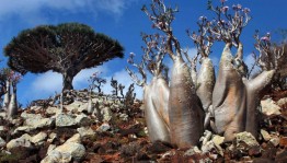 Викторина «В мире интересного»