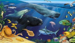 Познавательный час «Путешествие с морскими великанами»