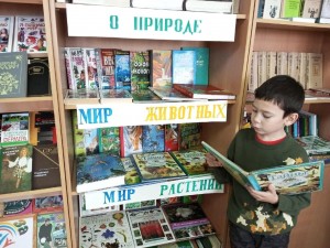 Викторина «Погружение в животный мир»