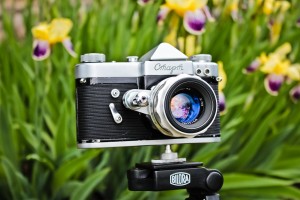 Всемирный день фотографии