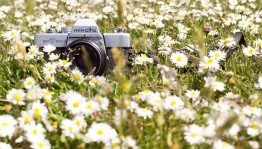 Фото–кросс «Лето в объективе»