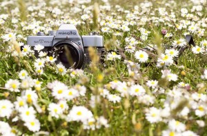 Фото–кросс «Лето в объективе»