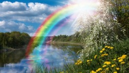 Развлекательная программа «Летняя феерия»