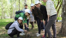 Квест «Экологический дозор»