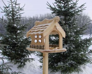Мастер-класс «Зимняя кормушка для птиц»