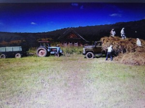 Фотовыставка «Труженики села»