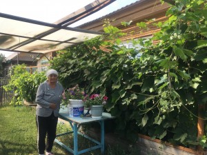 Конкурс «Ветеранское подворье»