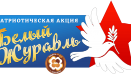 Патриотическая акция «Символ Победы»