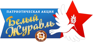 Патриотическая акция «Символ Победы»
