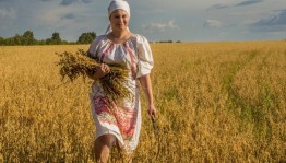 День сельской женщины«Праздник картошки»