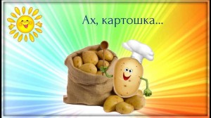 «День картошки»