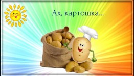 «День картошки»