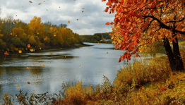 Познавательная программа «Осенние приметы, пословицы и поговорки»