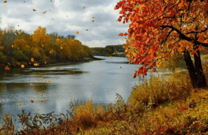 Познавательная программа «Осенние приметы, пословицы и поговорки»