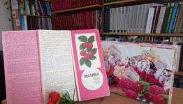 Мастер–класс «Малиновое настроение»