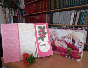 Мастер–класс «Малиновое настроение»