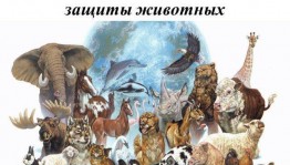 «Животные–не игрушка» информационно–игровое мероприятие к международному дню животных
