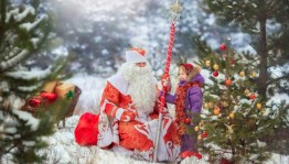 Новогодний праздник «Встреча нового года!»