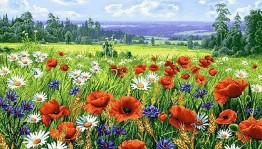 «Цветочный остров »