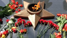 «Тюльпаны Победы»