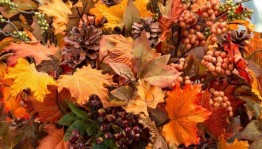 Конкурс осенних букетов «Кружатся листья золотые»