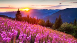 «Природа – лучшая здравница»