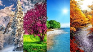 Фотоконкурс«Времена года»