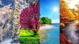 Фотоконкурс«Времена года»