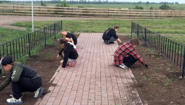 Патриотическая акция «Забота»