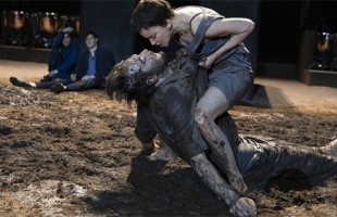 Проект TheatreHD приглашает на премьеру «Электра / Орест» театра «Комеди Франсез»
