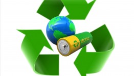 Акция «Сдай батарейку - спаси ёжика»