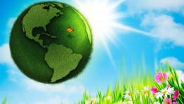 Экологический час «Зеленая планета»