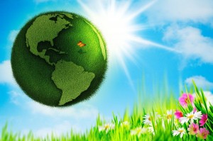 Экологический час «Зеленая планета»