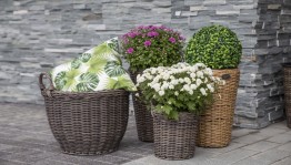 «Плетение кашпо из ротанга»