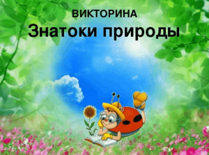 экологическая викторина « Царство растений»