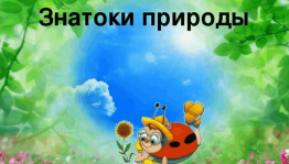 экологическая викторина « Царство растений»