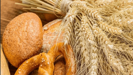познавательно – игровая программа «Хлеб – всему голова»