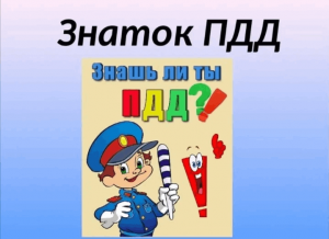 Познавательная программа «Знатоки дорожных правил»