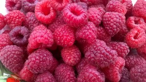 Беседа–игра «Чем полезен малина»