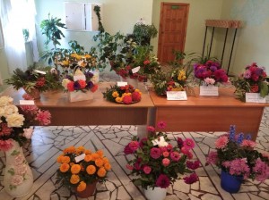 Праздник цветов «Путешествие в мир цветов»