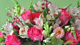 Игровая программа «День цветов»