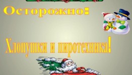 Беседа «Пиротехника–от забавы до беды»