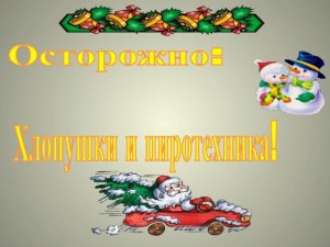 Беседа «Пиротехника–от забавы до беды»