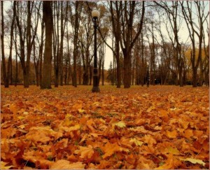 «День шуршания листьями»