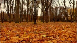 «День шуршания листьями»