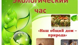 Экологический час «Братья наши меньшие»