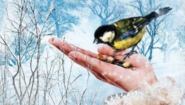 Экологическая акция. Помощь зимующим птицам «Синичкин день»