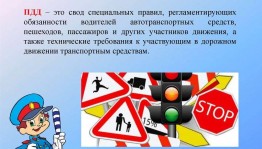 Информационный час «Правила дорожного движения»